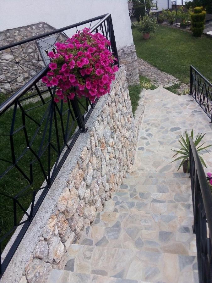 Guest House Stevovski Elshani Bagian luar foto