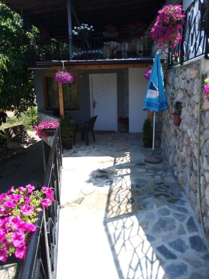 Guest House Stevovski Elshani Bagian luar foto