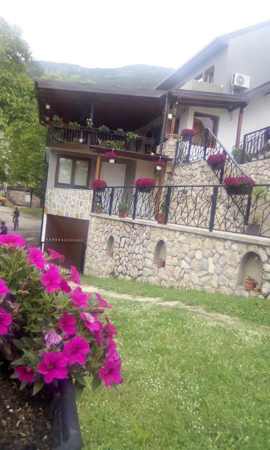 Guest House Stevovski Elshani Bagian luar foto