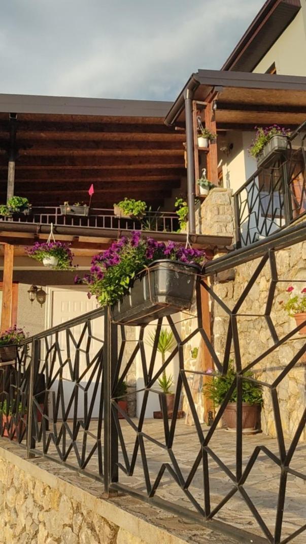 Guest House Stevovski Elshani Bagian luar foto