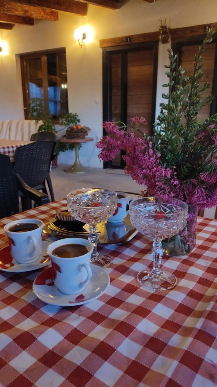 Guest House Stevovski Elshani Bagian luar foto